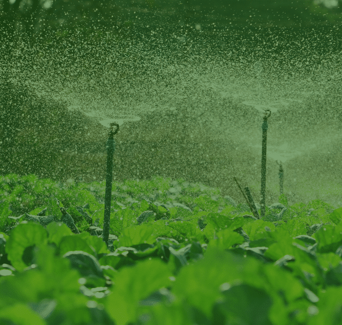 efc2c272 perf wp theme group 1352 1 1.png